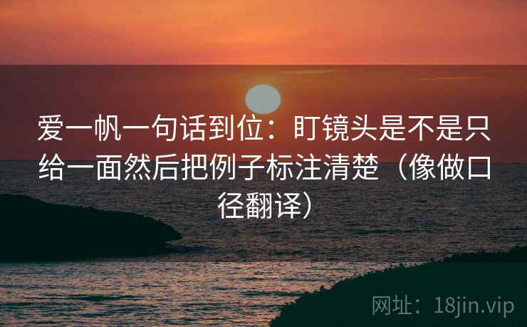 爱一帆一句话到位：盯镜头是不是只给一面然后把例子标注清楚（像做口径翻译）